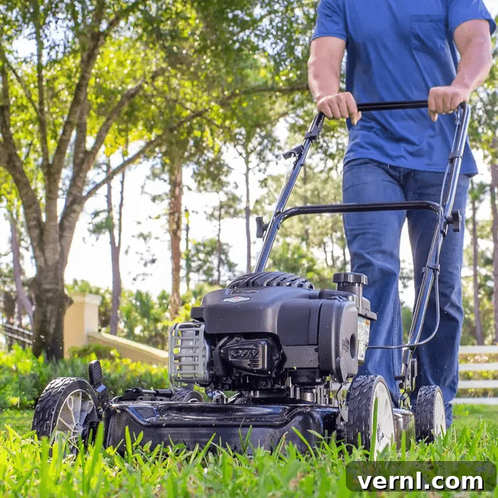 Winterize Your Lawn: The Essential Guide for a Healthy Spring 4 8 Best Gas Lawn Mowers Ft Via Homedepot.com