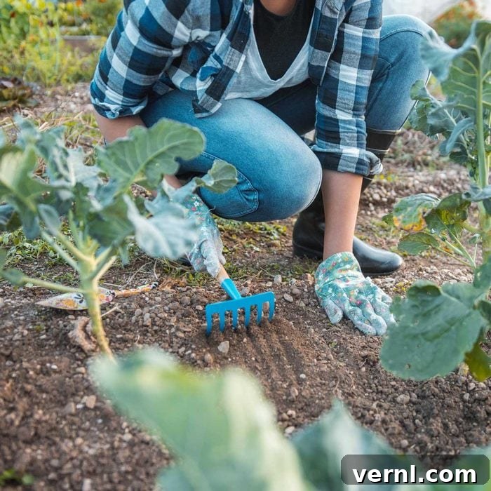 Winterize Your Lawn: The Essential Guide for a Healthy Spring 6 Garden Rake