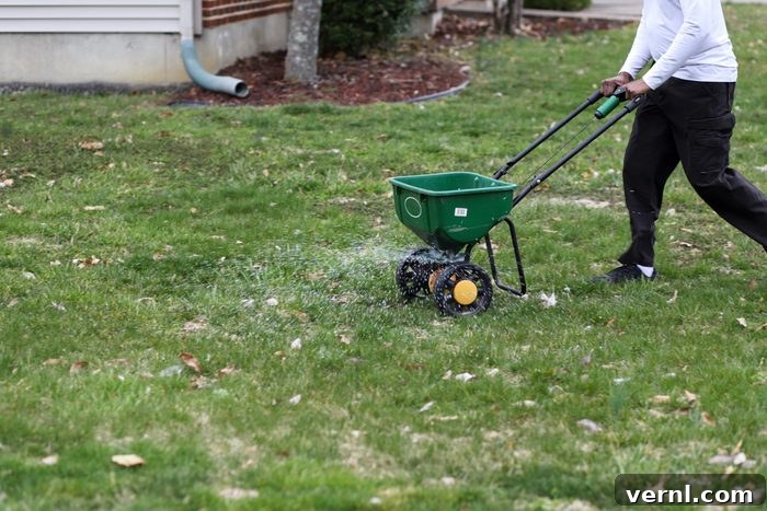 Autumn's Advantage: Seed for a Lush and Lasting Lawn 2 A man using a seed spreader on a newly prepared lawn