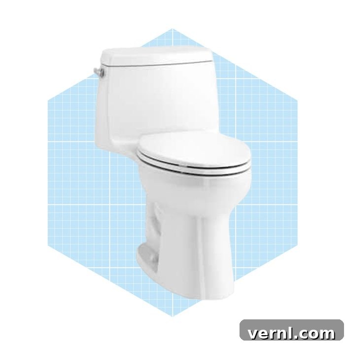 One-Piece or Two-Piece Toilet: Making the Right Choice for Your Bathroom 2 Kohler Santa Rosa Revolution One-Piece Toilet