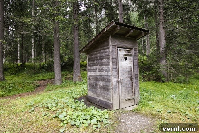 Is a Septic System Right for Your Cabin 2 Wooden outhouse at a cabin in the woods