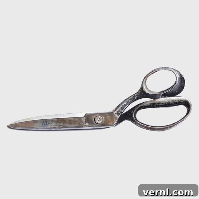 Revive Your Sofa Cushions and Covers 26 Scissors