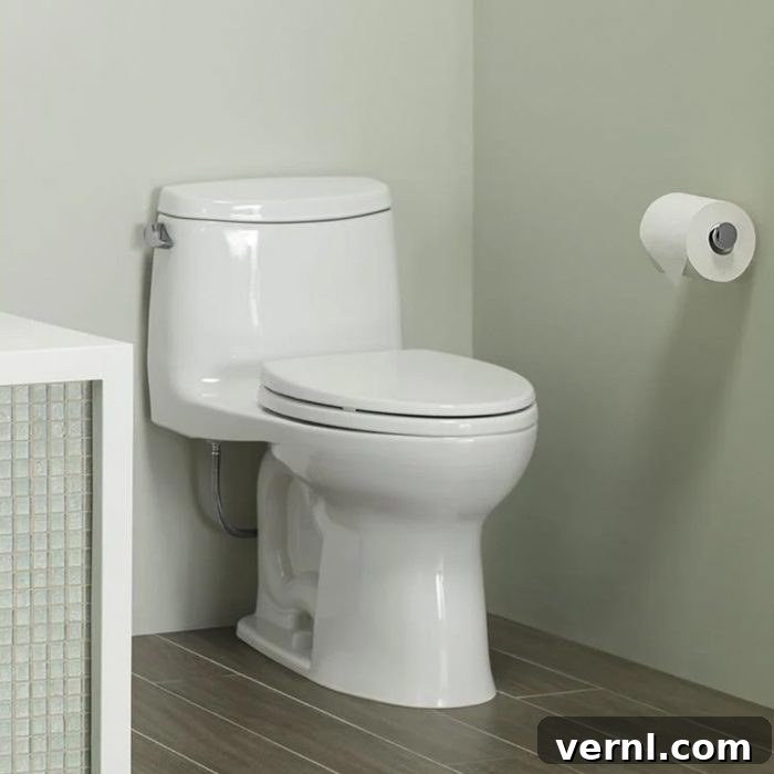 Smart Toilet Shopping Types and Flush Systems 3 One Piece Toilet