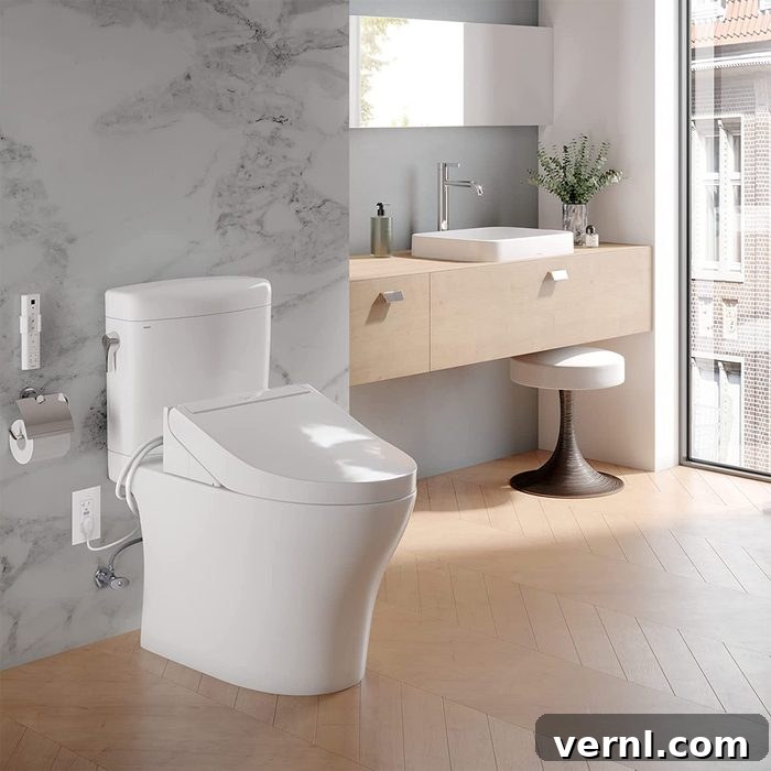Smart Toilet Shopping Types and Flush Systems 4 Bidet Toilet