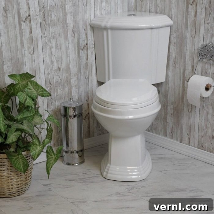 Smart Toilet Shopping Types and Flush Systems 5 Corner Toilet