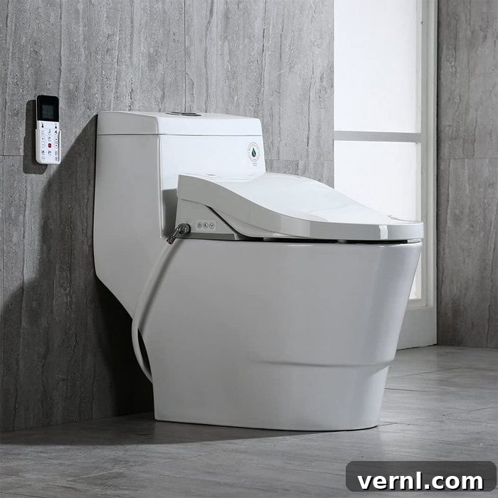 Smart Toilet Shopping Types and Flush Systems 7 Smart Toilet