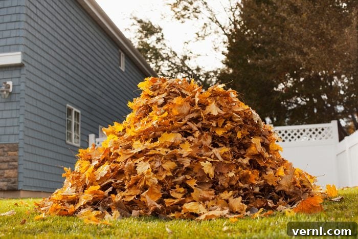 11 Essential Steps to Winter-Proof Your Lawn Today 2 A huge pile of raked fallen autumn leaves in a yard.