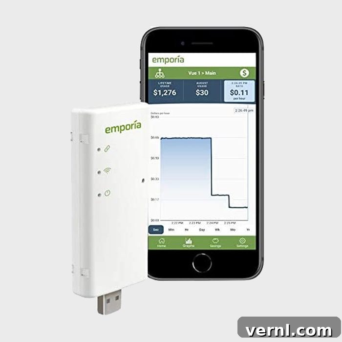 Smart Meters Demystified The Digital Energy Story 2 Emporia Smart Energy Monirot