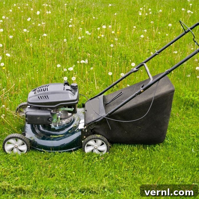 grass