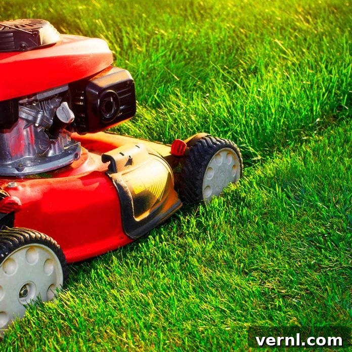 lawn mower cutting grass