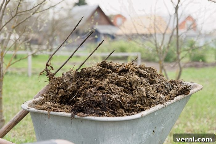 Wheelbarrow full of manure, ready for composting