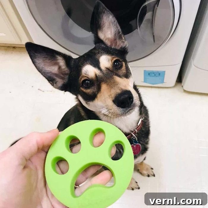 The End Of Laundry Pet Hair FurZapper Review 4 hand holding a Furzapper near dog Shadow who is sitting near a washing machine