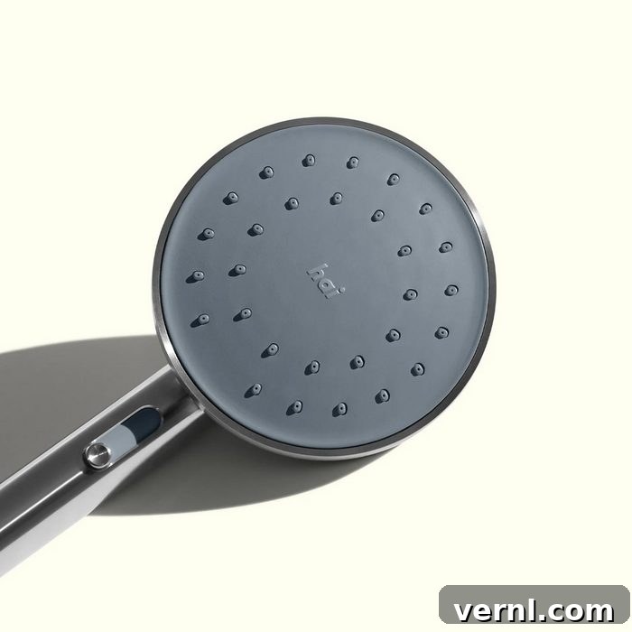 Hai Smart Showerhead: Intelligent Design, Spa-Level Serenity 2 Hai Charcoal Smart Showerhead