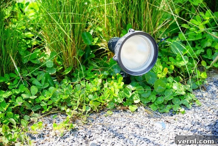 Brighten Your Walkways A Homeowners Guide 4 Garden spot lamp in the grass