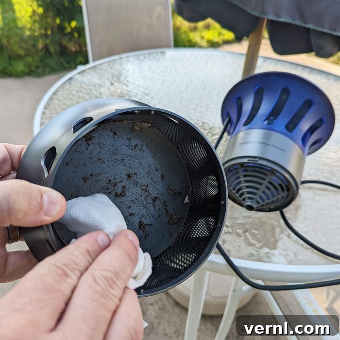 Skeeter Hawk: A Review 2 Bugs collected in the bottom of the Skeeter Hawk Fly Trap