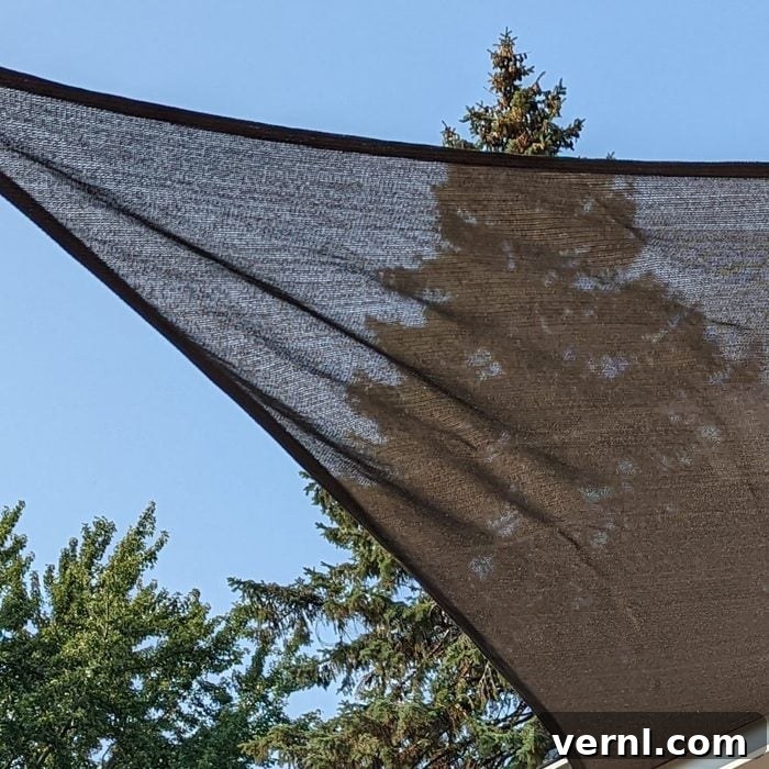 Coolaroo Shade Sail provides ample outdoor shade