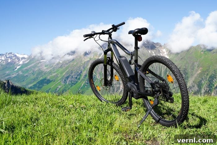 an e bike at the top of a mountain
