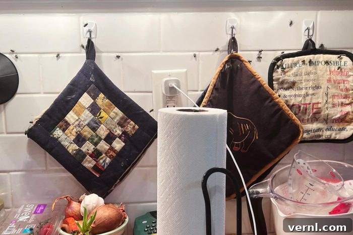 Hatching Fly Eggs: Your Emergency Home Guide 2 Flies on a kitchen wall, indicating a potential breeding site