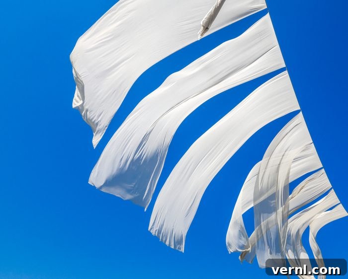 Blue Magic for Brighter Whites 2 Laundry bluing, White sheets hanging on clotheslines on a bright blue day