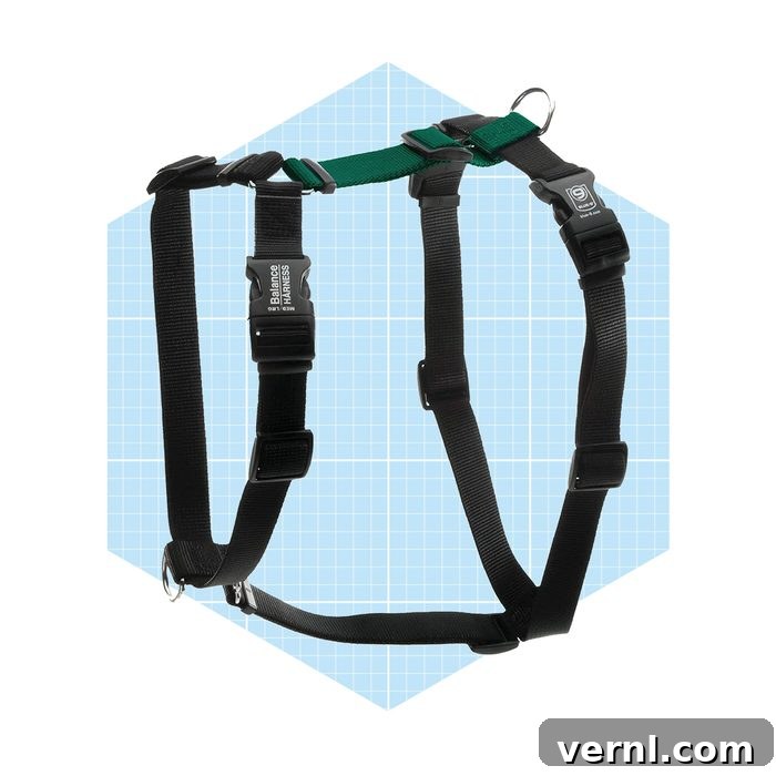 Blue-9 Balance Harness Review: Tested for Comfort and No-Pull Control 3 No Pull Harness For Dogs