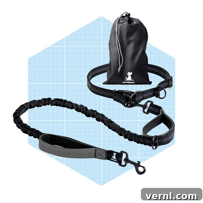 The Hands-Free Leash That Ended My Dog Walking Dread 3 Sparklypets Hands Free Dog Leash For Medium And Large Dogs