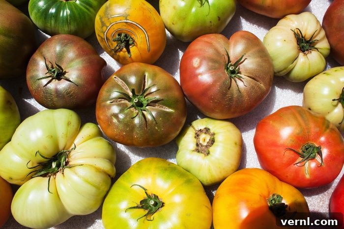 Heirloom Seeds: A Return to Roots 2 Still life of heirloom tomatoes