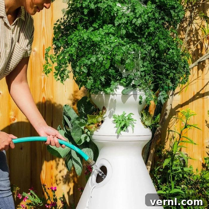 Lettuce Grow Farmstand Hydroponics Is It Worth Your Money 4 The Farmstand