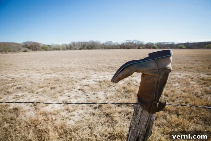 The Secret Meaning of Boots on Fences 2 Abandoned boot on fencepost