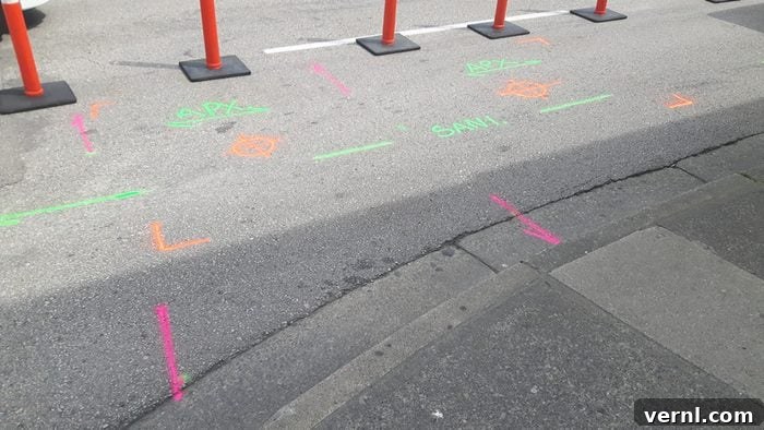 Red Paint on the Ground: The Hidden Purpose 2 Located and marked Utility lines below ground surface with various colors indicating different utilities.