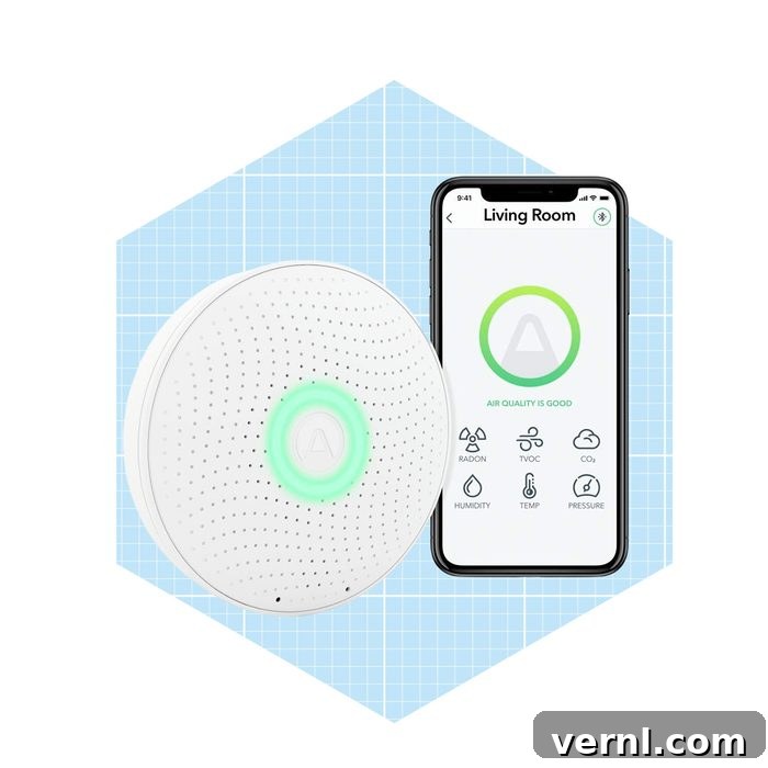 Airthings Wave Professional's Top Pick for Home Radon Detection 2 Radon Detector