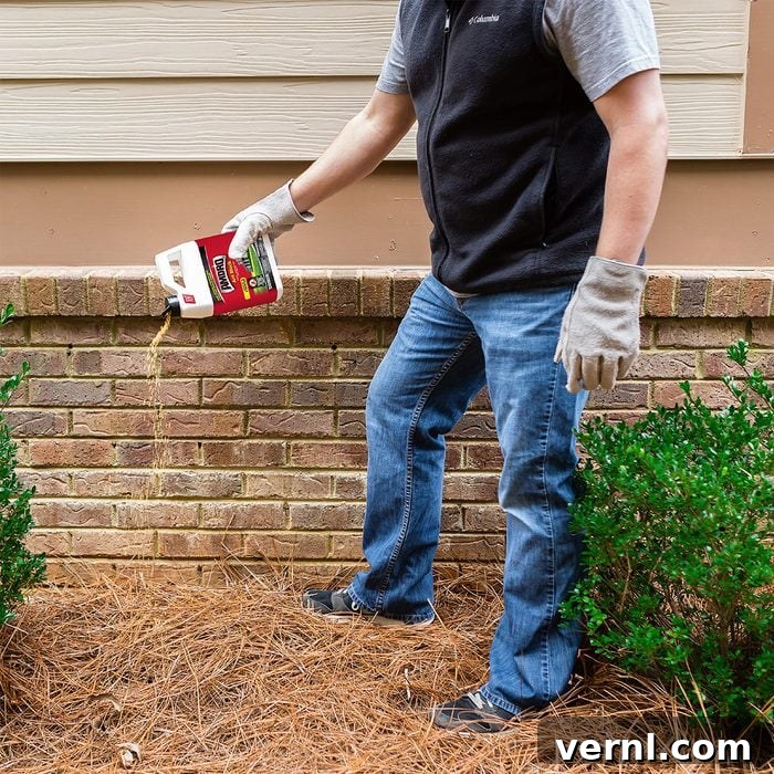Amdro Ant Killing Bait: The Ultimate Guide to Use, User Reviews, and Its Benefits and Drawbacks 2 Person using Amdro Ant Bait granules around the exterior of a house, demonstrating outdoor application for pest control.