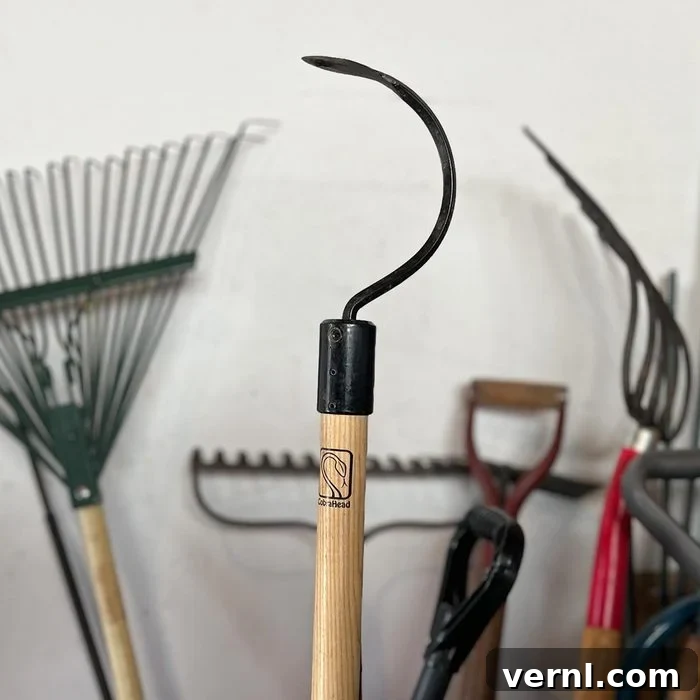 The CobraHead Weeder: A Gardening Game-Changer 3 The CobraHead Weeder in action, showing its unique curved blade and ergonomic handle.