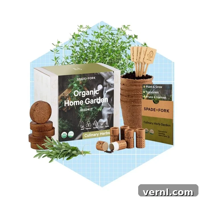 Seed a Greener Future with Our Organic Starter 2 Spade to Fork Organic Seed Starter Kit in action