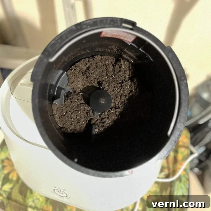 Lomi Composter Review: 24-Hour Food Waste Transformation 3 Lomi Composter in Use