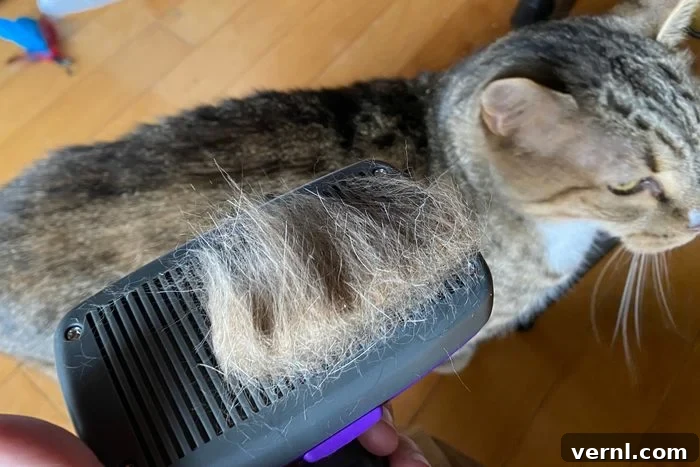 Hertzko Self-Cleaning Slicker Brush: 2024's Top Pick for Cat Shedding and Grooming 4 Our tester, Allison Robicelli, grooming her cat, Rocky, with the Hertzko brush
