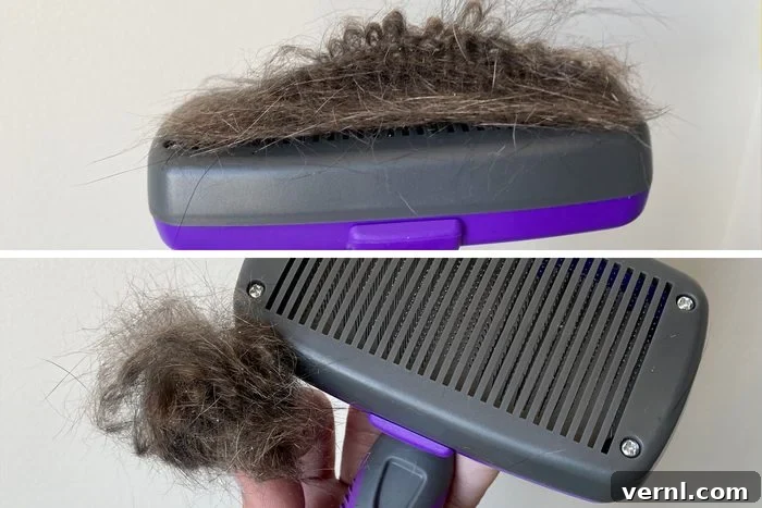 Hertzko Self-Cleaning Slicker Brush: 2024's Top Pick for Cat Shedding and Grooming 6 Before and after comparison of fur removed from the Hertzko pet brush