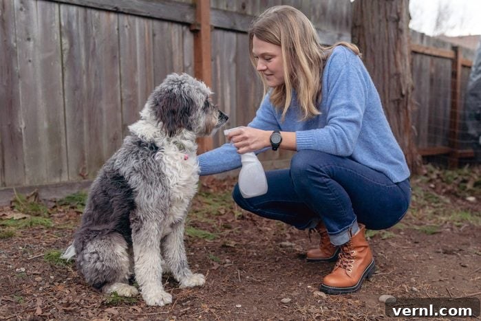 Chemical-Free Ways to Rid Your Dog of Fleas 2 Woman spraying pet dog with anti-tick and flea spray
