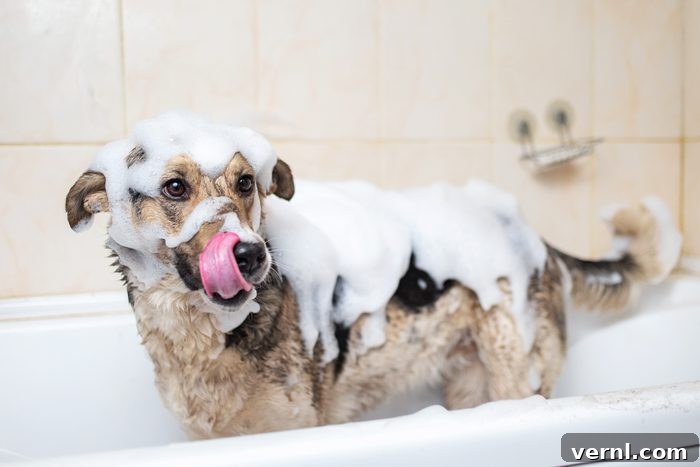 Chemical-Free Ways to Rid Your Dog of Fleas 3 A dog taking a shower with soap and water