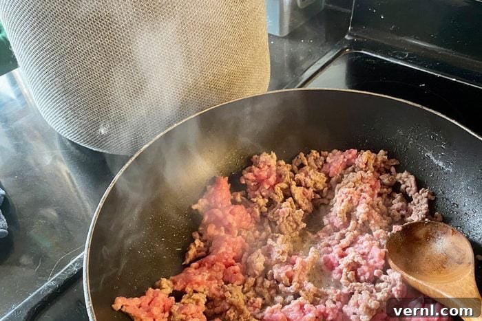 Blueair Air Purifier next to a pan of beef on the stove