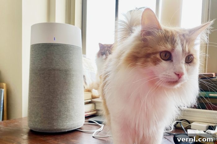 Blueair Air Purifier with pets