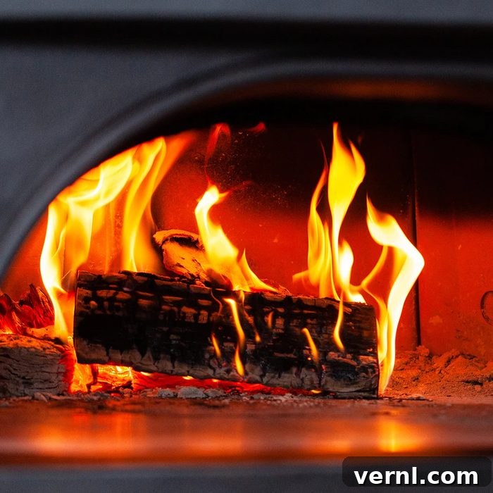 Roccbox Pizza Oven By Gozney Ecomm Us.gozney.com