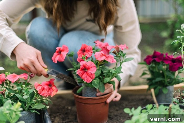 Woman planting flower in a flower pot