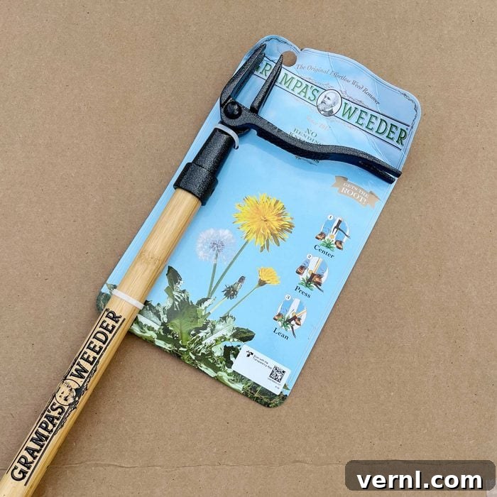 Grampa's Weeder: Stand Tall, Weed Effortlessly 2 Grampa's Weeder in action, demonstrating its stand-up design for easy weed removal