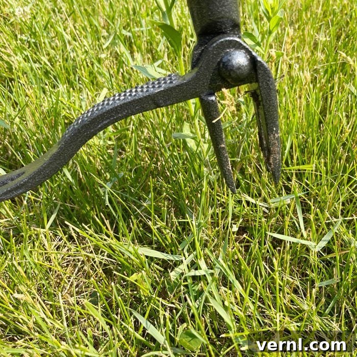 Grampa's Weeder: Stand Tall, Weed Effortlessly 3 Close-up of Grampa's Weeder showing its slender design and comfortable handle