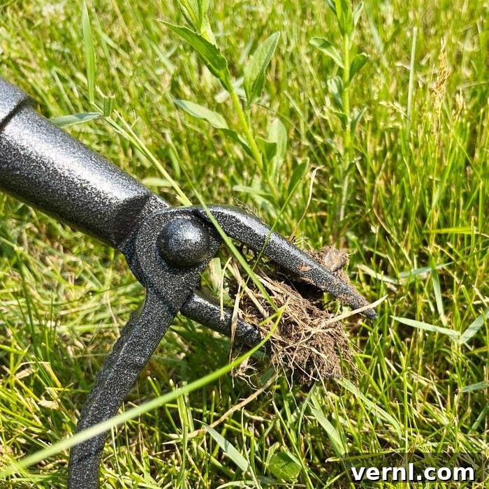 Grampa's Weeder: Stand Tall, Weed Effortlessly 8 Final verdict image: Grampa's Weeder proudly stands in a garden