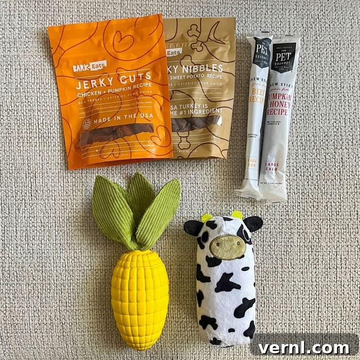 Barkbox Super Chewer 2024: Is It Still Worth Every Bite 2 Barkbox Super Chewer Set on Fabric Surface