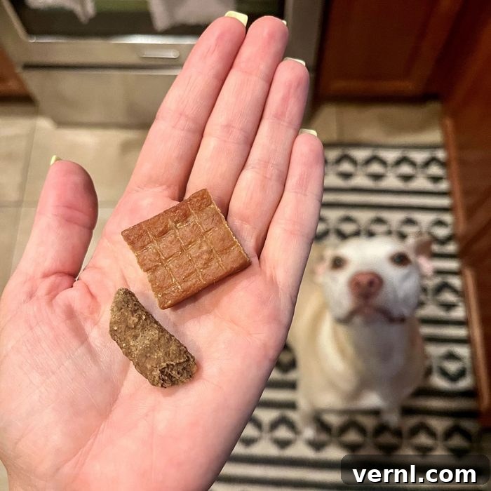 Barkbox Super Chewer 2024: Is It Still Worth Every Bite 7 Dog Treat in Hand and Dog Sitting on Rug