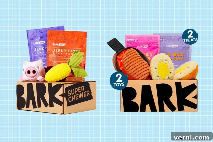 Barbox Super Chewer Vs Barbox Original