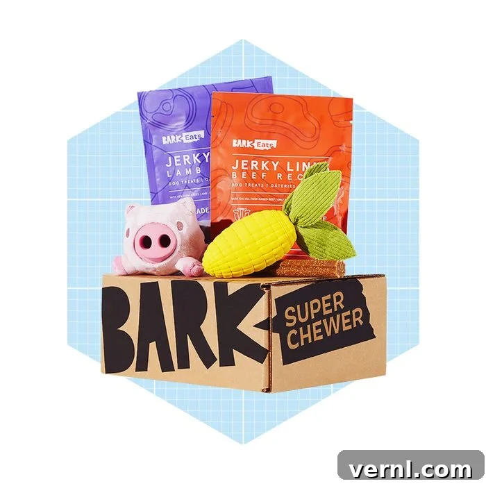Barkbox Super Chewer 2024: Is It Still Worth Every Bite 10 Barkbox Super Chewer