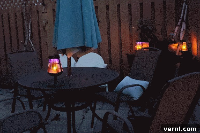 PIC Solar Bug Zapper Torch Review: Is It Worth the Buzz 4 gif of flickering Pic Insect Killer Torch at night